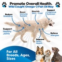 omega-3-fish-oil-for-dogs-salmon-oil-for-2.jpg