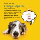 omega-caps-es-for-large-giant-dogs-250-c-3.jpg