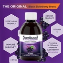 sambucol-black-elderberry-syrup-original-3.jpg