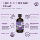 organic-elderberry-syrup-usda-certified--2.jpg