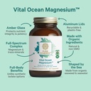 pure-synergy-vital-ocean-magnesium-organ-3.jpg