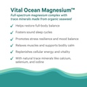 pure-synergy-vital-ocean-magnesium-organ-4.jpg