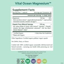 pure-synergy-vital-ocean-magnesium-organ-2.jpg