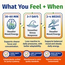 1-body-vitamin-b-complex-3-pack-bioavail-3.jpg