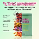 wild-mind-mental-clarity-balanced-focus--3.jpg