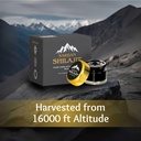shilajit-for-men-and-women-gold-grade-60-5.jpg