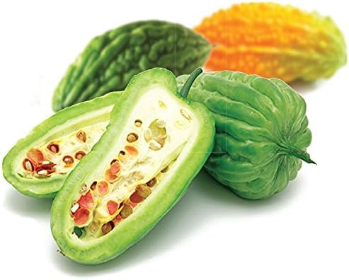 gabby-insul-care-bitter-melon-natural-he-2.jpg