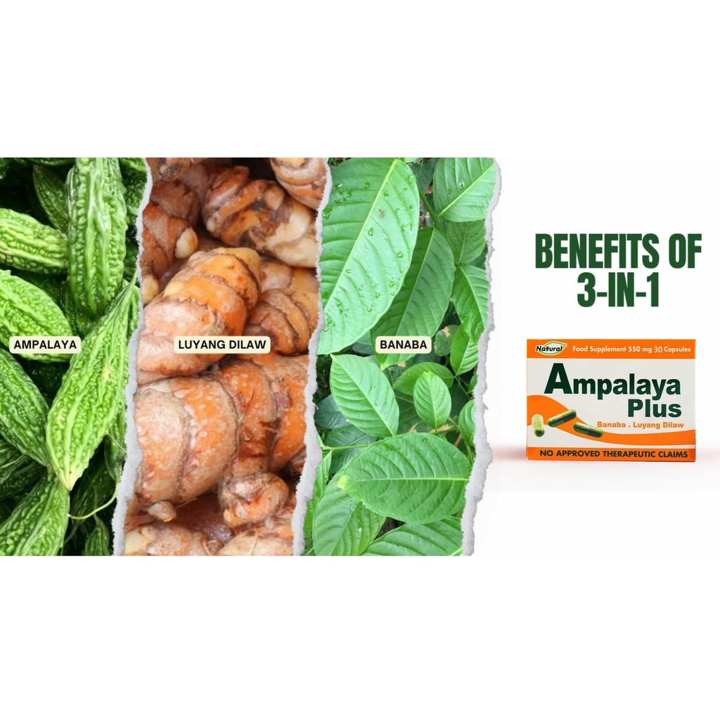 pack-of-4-ampalaya-plus-supplement-550mg-3.jpg