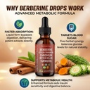 berberine-liquid-drops-2-pack-ceylon-cin-2.jpg