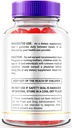 nutrarize-pack-of-3-burnwell-keto-acv-gu-3.jpg