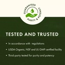 swanson-astragalus-standardized-500-mill-4.jpg