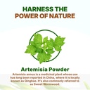 go-nutra-sweet-wormwood-artemisia-annua--4.jpg