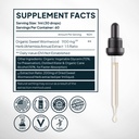 zenmen-organic-sweet-wormwood-artemisia--3.jpg