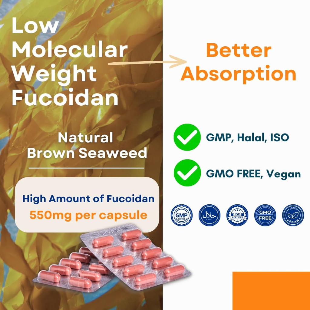 oligo-fucoidan-capsules-oncofuco-doctor--5.jpg