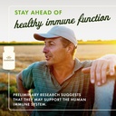 swanson-maximum-strength-fucoidan-extrac-3.jpg