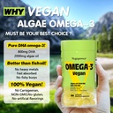 vegan-omega-3-algae-dha-supplements-2000-3.jpg