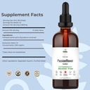 horsetail-tincture-alcohol-free-herbal-e-2.jpg