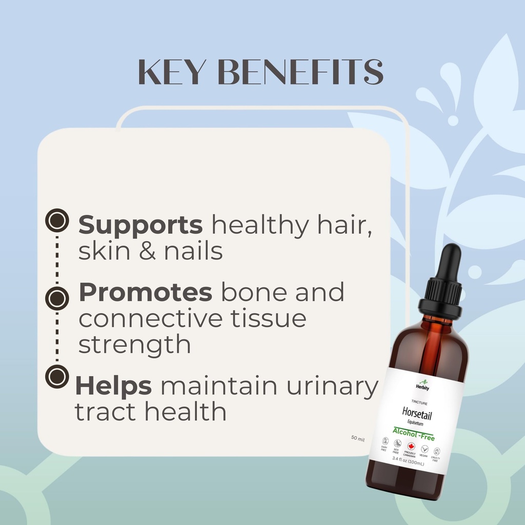 horsetail-tincture-alcohol-free-herbal-e-3.jpg