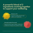 berberine-hci-600mg-supplement-supports--3.jpg