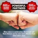 dedicad-1500mg-wormwood-capsules-with-bl-5.jpg