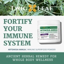 artemisia-annua-sweet-wormwood-herbal-po-3.jpg