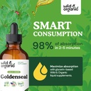 wild-organic-goldenseal-tincture---lung--4.jpg