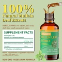 organic-mullein-drops-for-lung-cleanse-p-2.jpg
