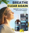 balance-bioliqua-mullein-drops-for-lungs-2.jpg