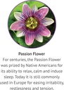 botanic-choice-passion-flower-rosemary-l-6.jpg
