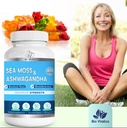 sea-moss-ashwagandha-gummies-organic-iri-5.jpg