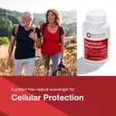 protocol-for-life-balance-magtein-2-000m-3.jpg