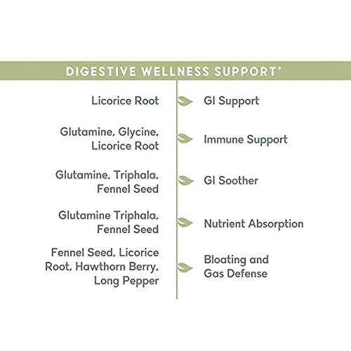 balanced-vibe-brain-gut-health-axis-memo-5.jpg