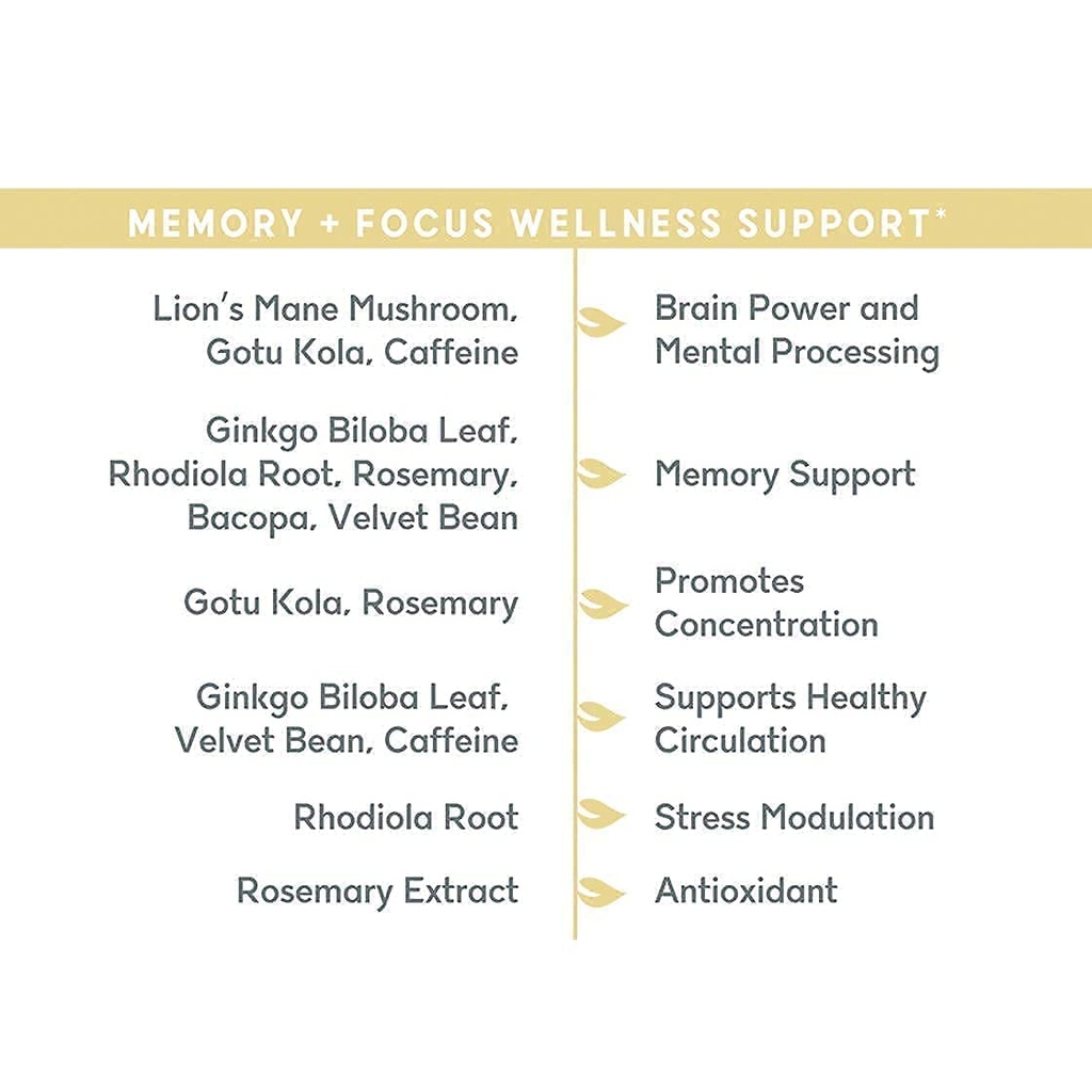 balanced-vibe-brain-gut-health-axis-memo-4.jpg