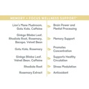 balanced-vibe-brain-gut-health-axis-memo-4.jpg