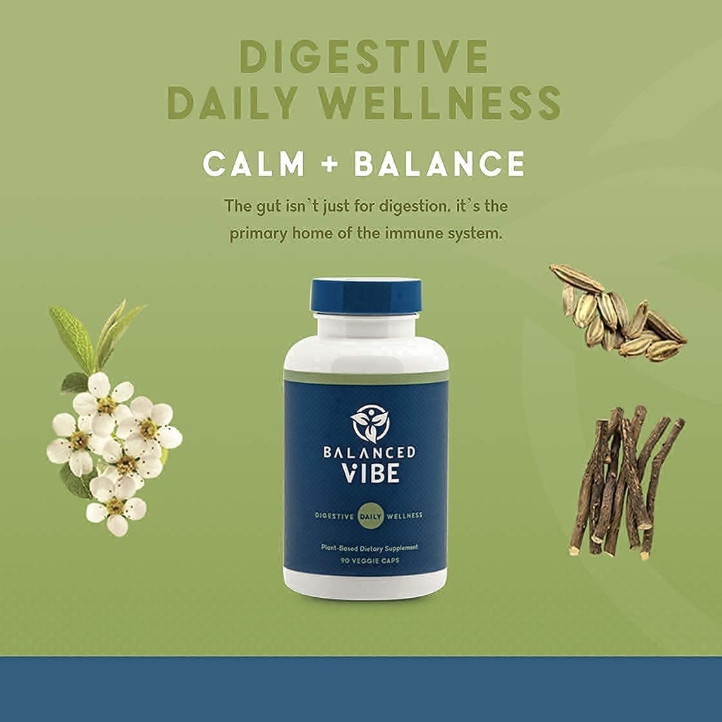 balanced-vibe-brain-gut-health-axis-memo-3.jpg