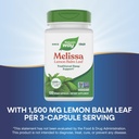 nature-s-way-melissa-lemon-balm-leaf-tra-5.jpg