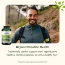 swanson-saw-palmetto-full-spectrum-herba-5.jpg