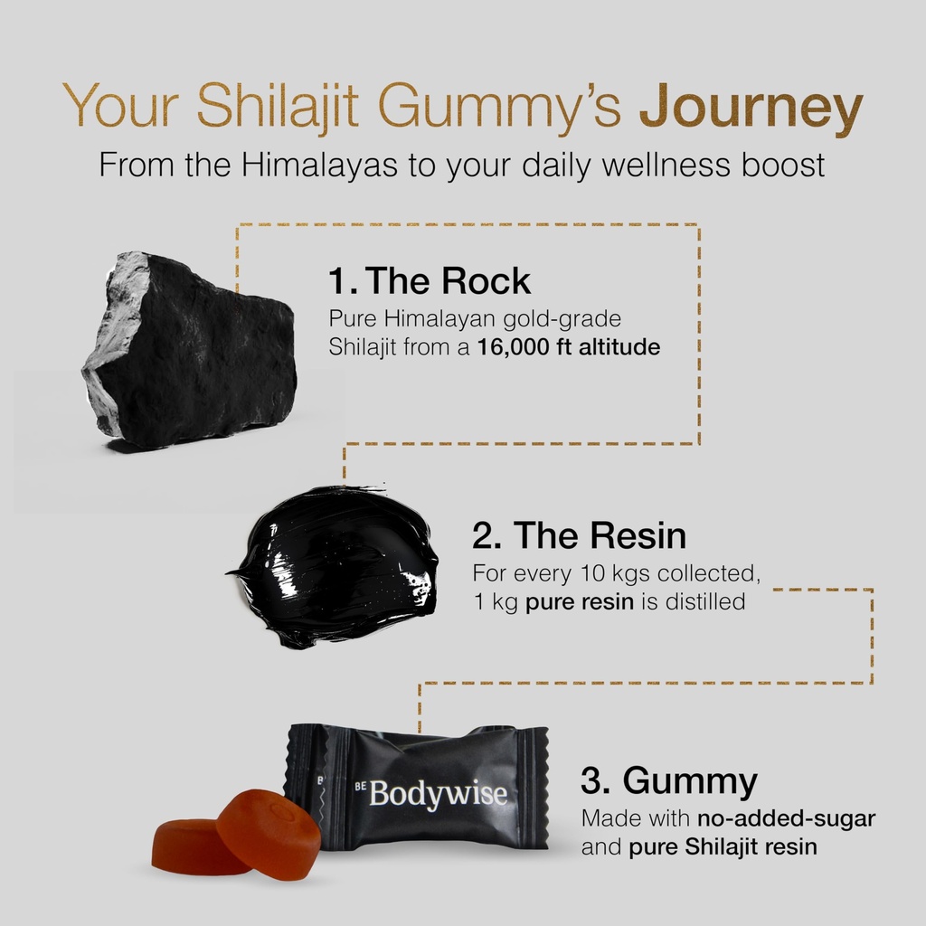 be-bodywise-pure-himalayan-shilajit-gumm-3.jpg