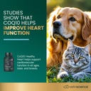 vetri-science-vetriscience-coenzyme-q10--3.jpg