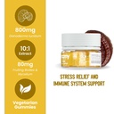 troomy-reishi-calm-gummies-natural-pinea-4.jpg