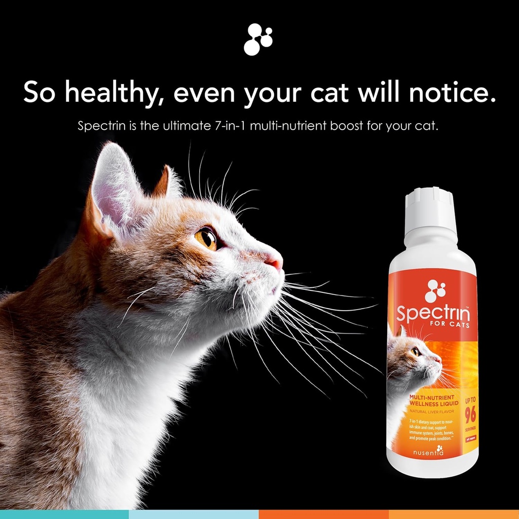 cat-vitamins---spectrin-16-oz---liquid-v-2.jpg