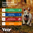 vetr-dog-multivitamin-treats-60-chews-ch-4.jpg