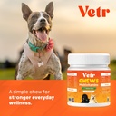 vetr-dog-multivitamin-treats-60-chews-ch-6.jpg