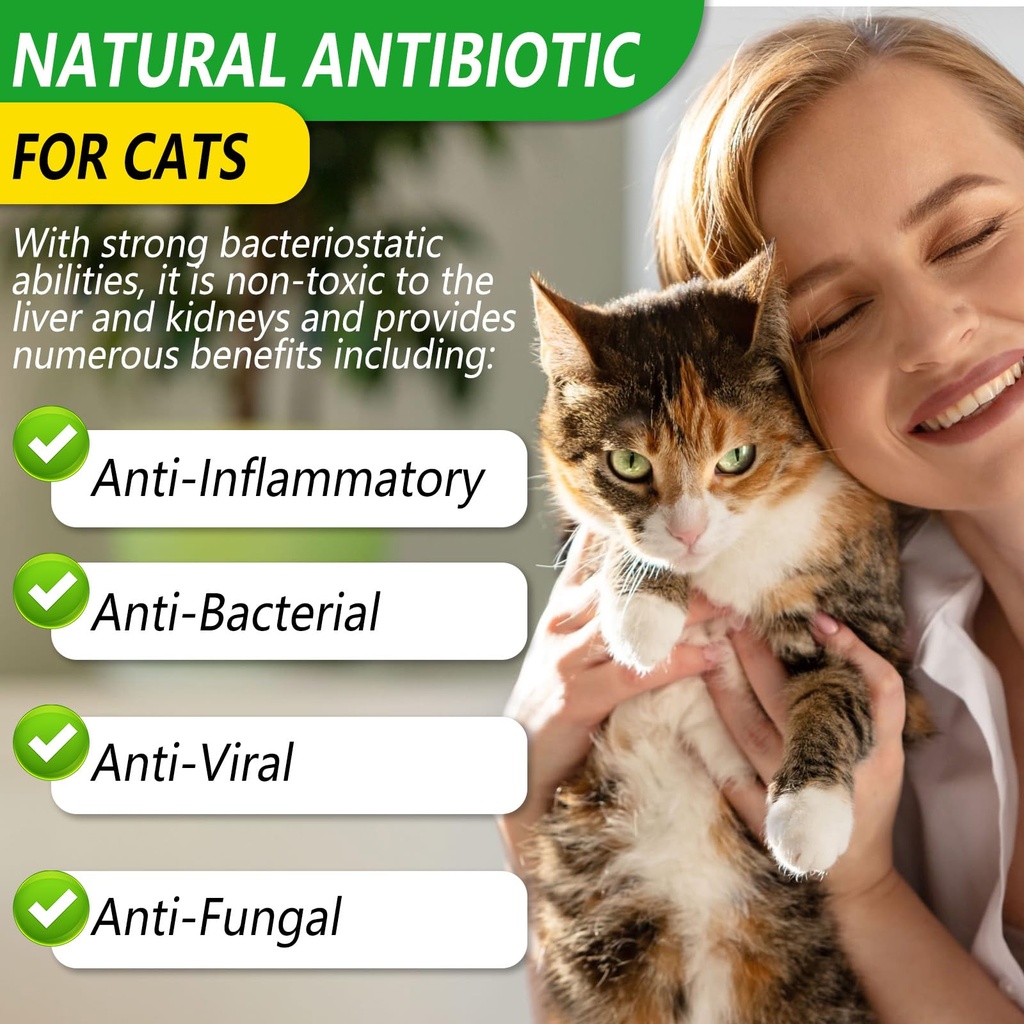 antibiotics-for-cats-natural-antibiotic--4.jpg