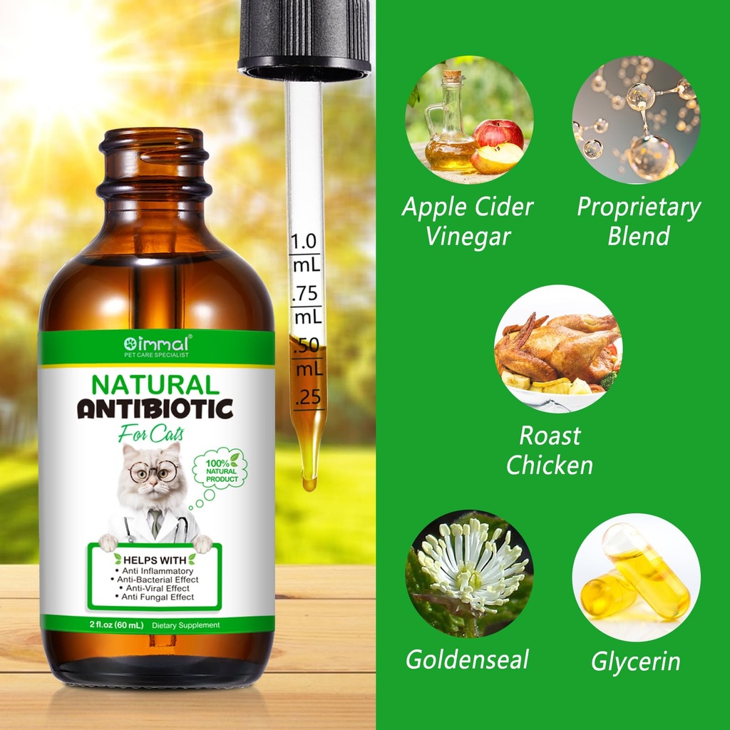 antibiotics-for-cats-natural-antibiotic--2.jpg