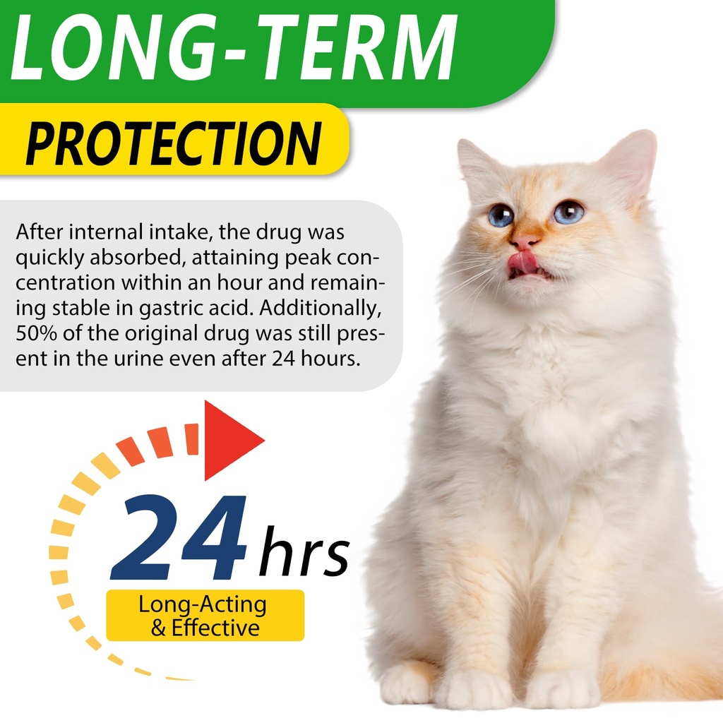 antibiotics-for-cats-natural-antibiotic--3.jpg