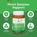 bundle-of-multivitamin-gummies-for-adult-5.jpg