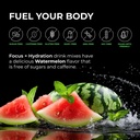 braintree-nutrition-focus-hydration-elec-4.jpg
