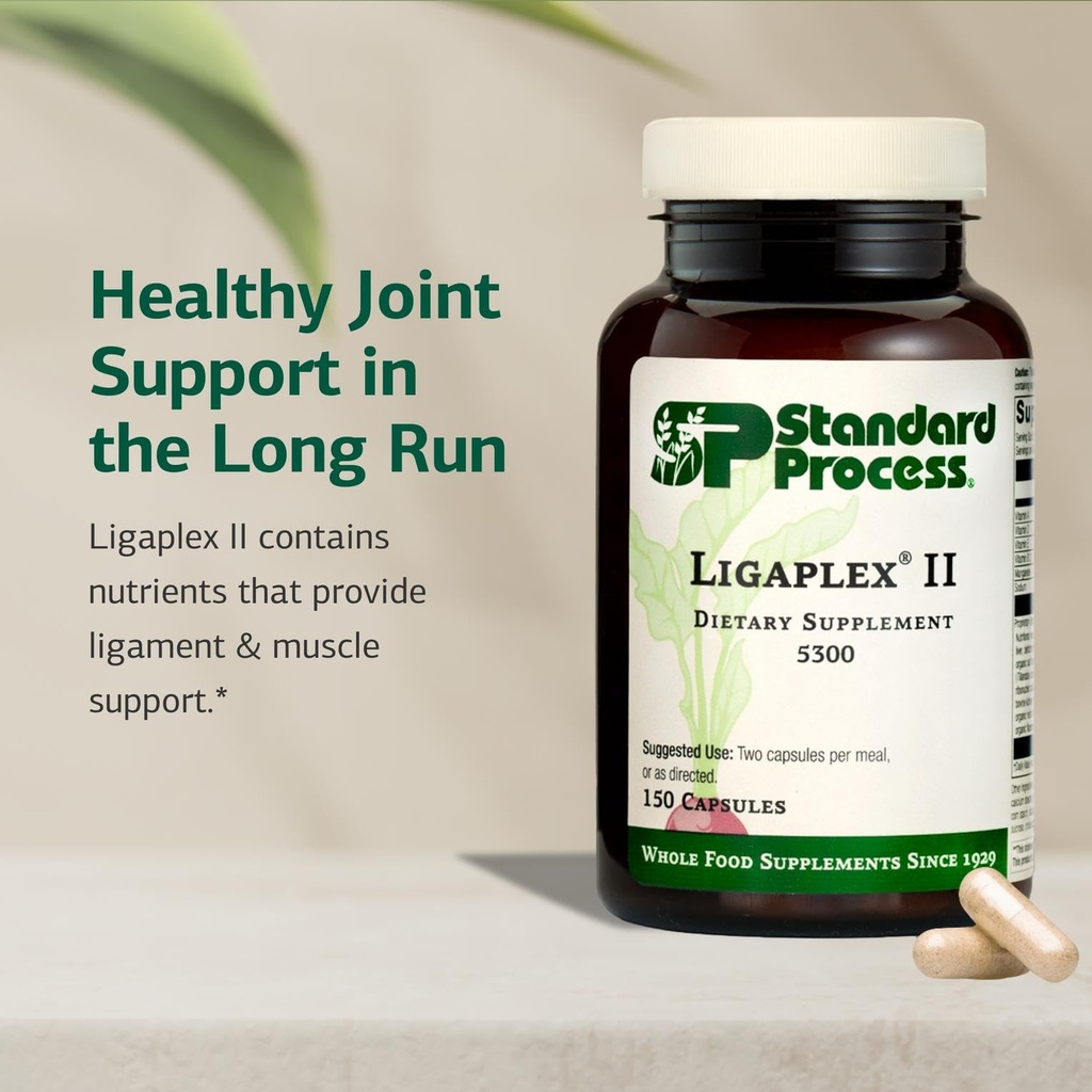 standard-process-ligaplex-ii-joint-bone--3.jpg