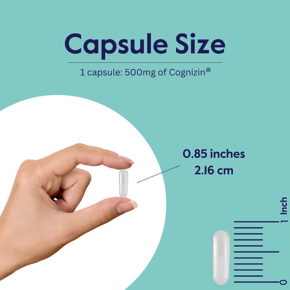 bestvite-cognizin-citicoline-500mg-240-v-5.jpg